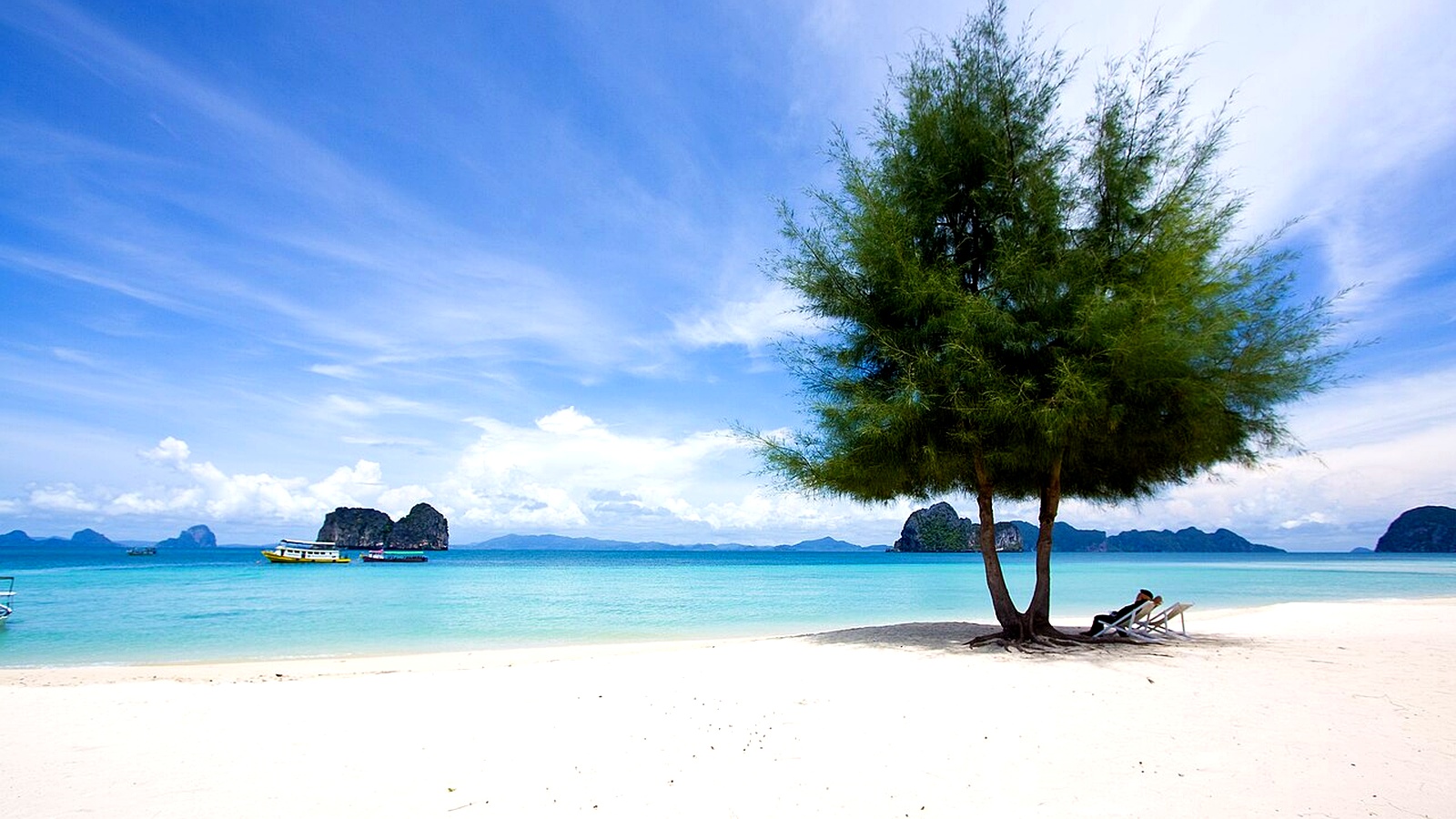 Trang