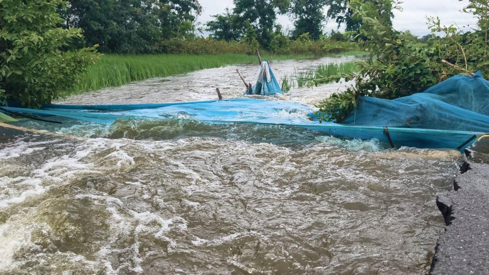 Inondazioni improvvise colpiscono la provincia di Buriram, oltre 40 case sommerse