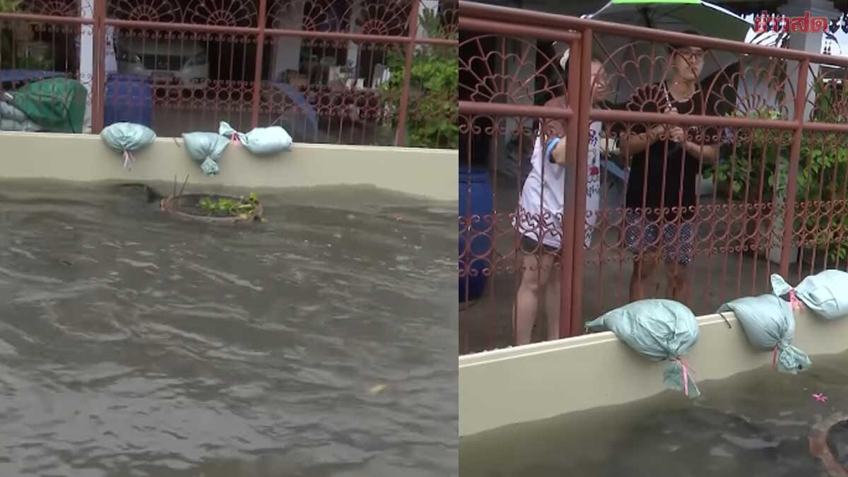 Bangkok Homeowner Successfully Defends Property Against Rising Floodwaters