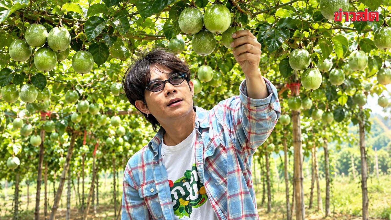 L'innovation agricole thaïlandaise mise en avant dans des émissions télévisées