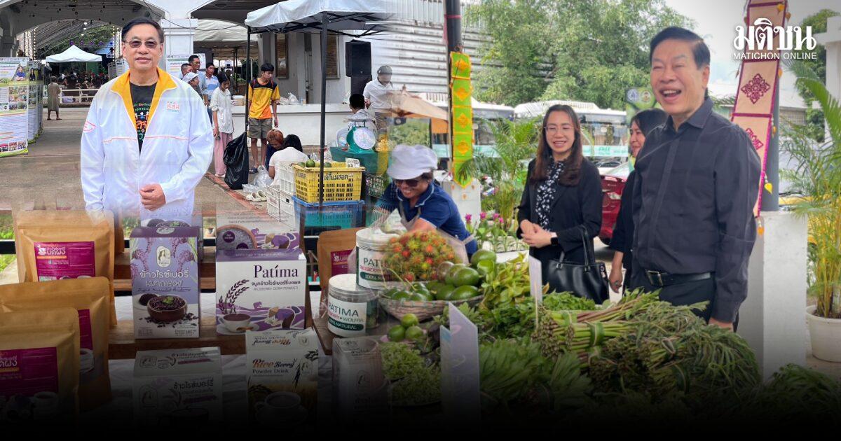 Chiang Rai Promotes 'Safe Food' Initiative for Balanced Living