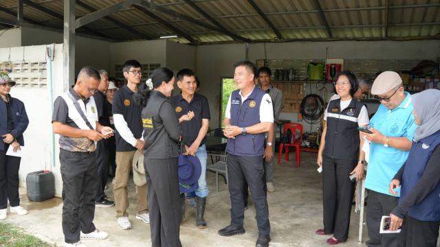 Phang Nga Promotes Premium 'Tiger Prawns' as Local Specialty
