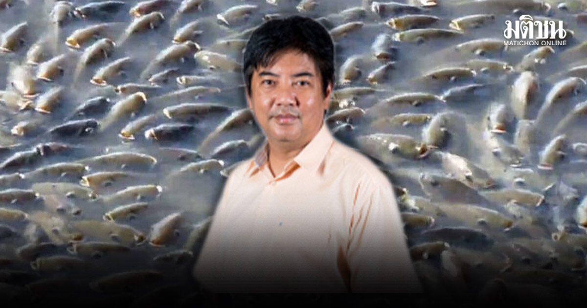 Tilapia à tête noire : de la crise invasive à la responsabilité écologique