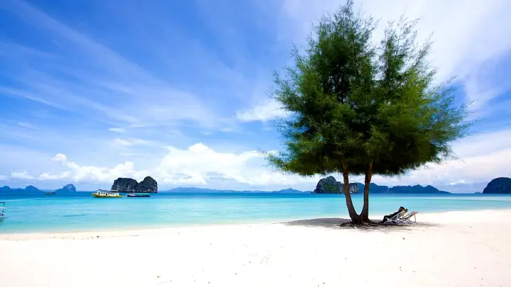 Trang
