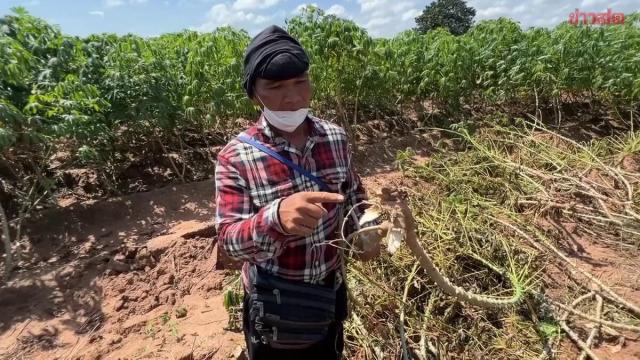 Un agriculteur d'Uthai Thani confronté à une double épreuve après un vol