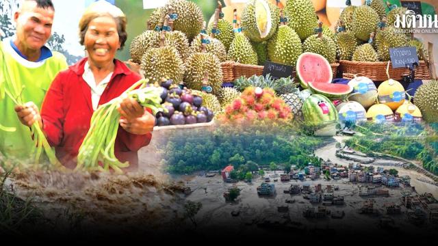 Addressing Food Chain Vulnerabilities Amid Rising Global Temperatures