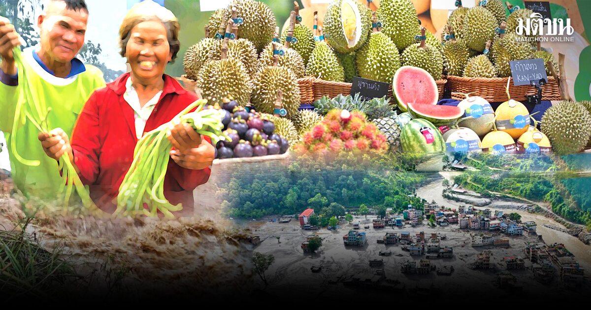 Addressing Food Chain Vulnerabilities Amid Rising Global Temperatures