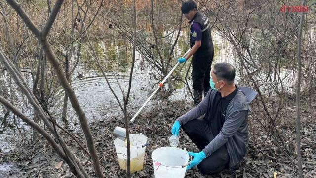 Pollution Control Department Investigates Fish Die-off in Prachin Buri