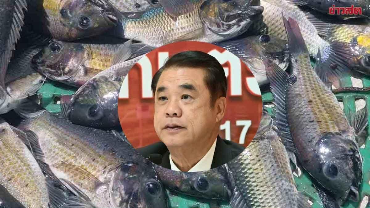 Landwirtschaftsministerium beantragt 70 Millionen Baht zur Bekämpfung der Ausbreitung des Schwarzkopftilapias