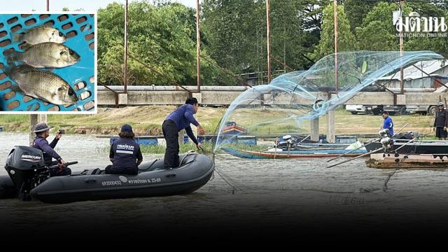 Black-chinned Tilapia Detected in Kalasin’s Lam Pao Dam