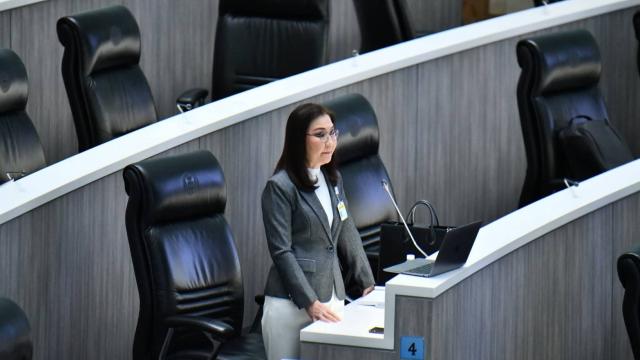 Senator Criticizes 2027 Budget Proposal as 'Luck-Dependent'
