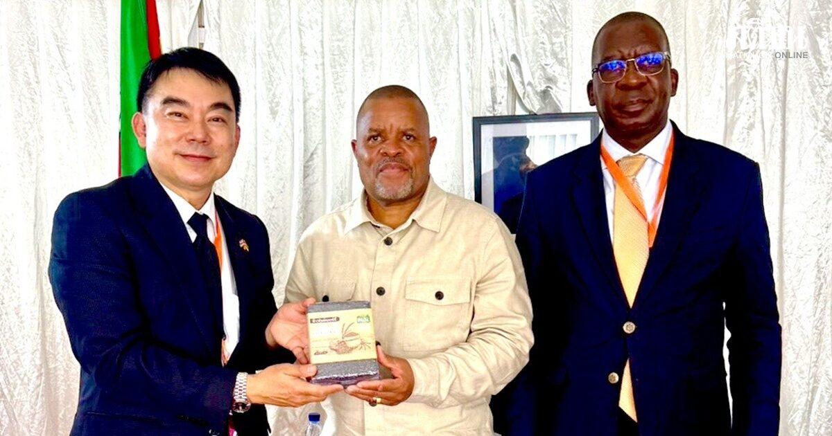 La Thaïlande et le Mozambique discutent de coopération en technologie agricole