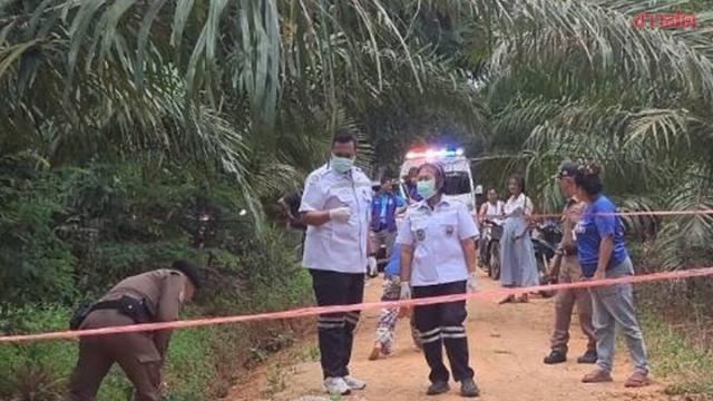 Tiroteio fatal em plantação de palmeiras em Surat Thani