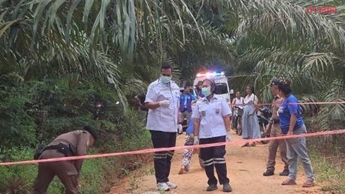 Tiroteio fatal em plantação de palmeiras em Surat Thani