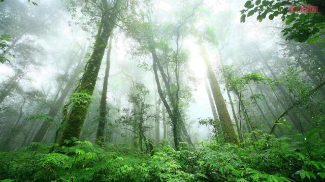 Doi Inthanon National Park Proposed as Thailand's 11th ASEAN Heritage Park