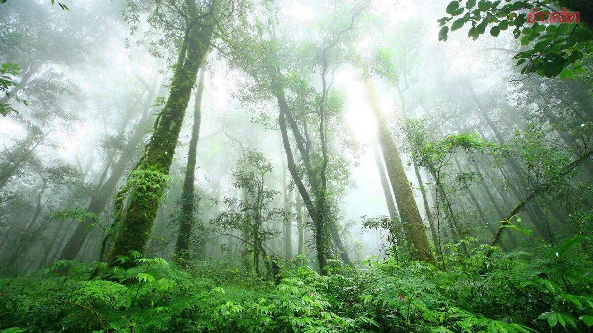 Doi Inthanon National Park Proposed as Thailand's 11th ASEAN Heritage Park