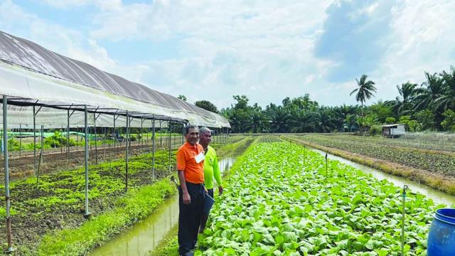 Transformation de l'agriculture durable à Bang Tha Kham