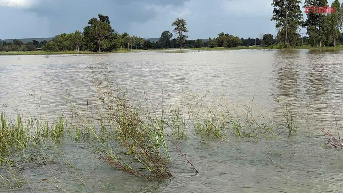 Chuvas fortes causam inundações na província de Buriram