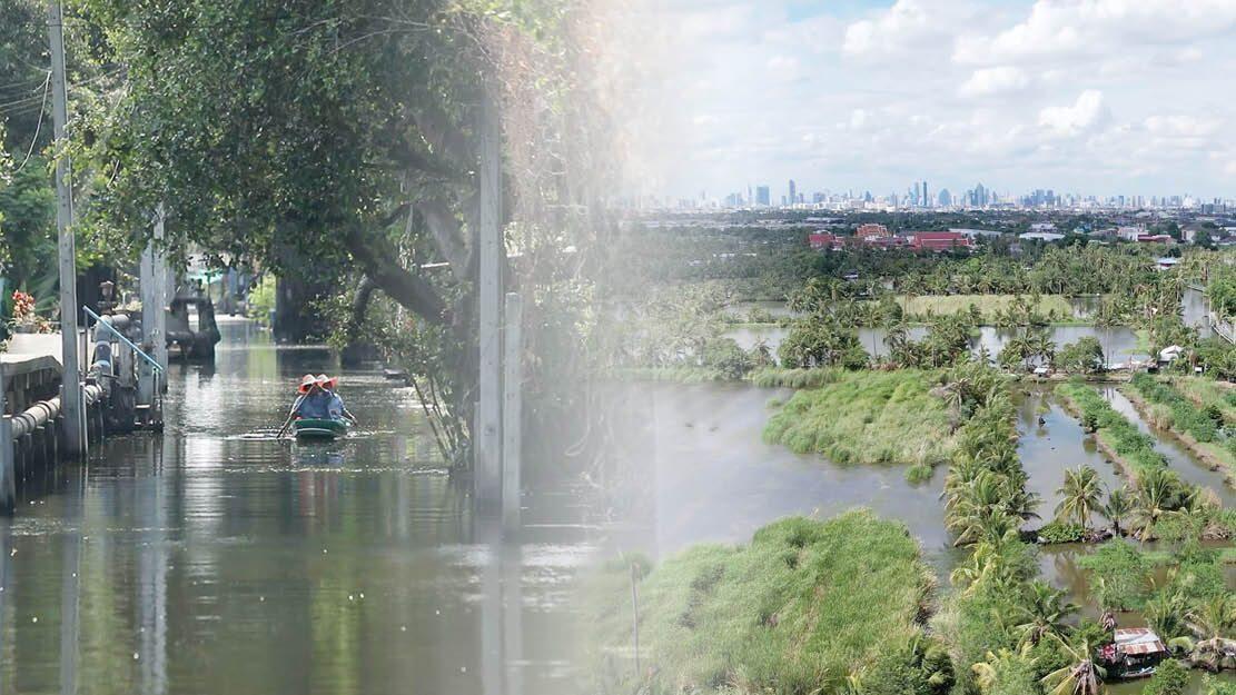 Exploring the Hidden Canals and Orchards of Bang Mod