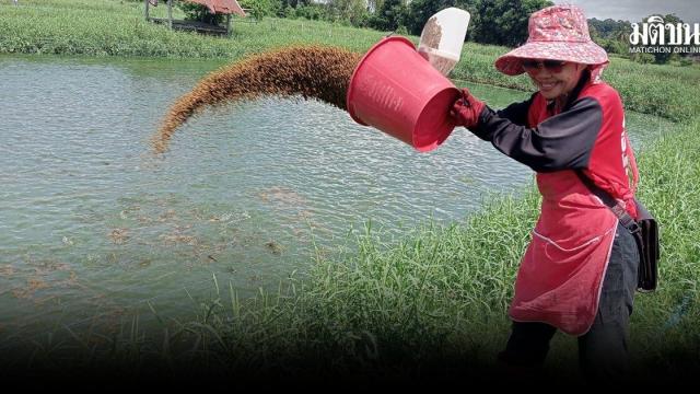 Kalasin Fish Farmers Address Blackchin Tilapia Presence in Lam Pao Dam