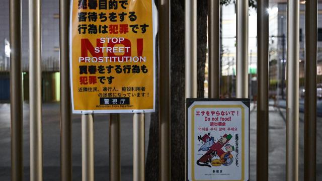 Japão considera reformas legais para penalizar compradores de serviços sexuais
