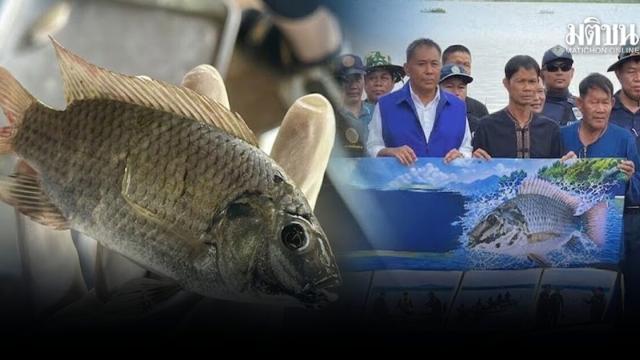 Volunteer Fishermen Launch Operation to Curb Blackchin Tilapia in Lam Pao Dam