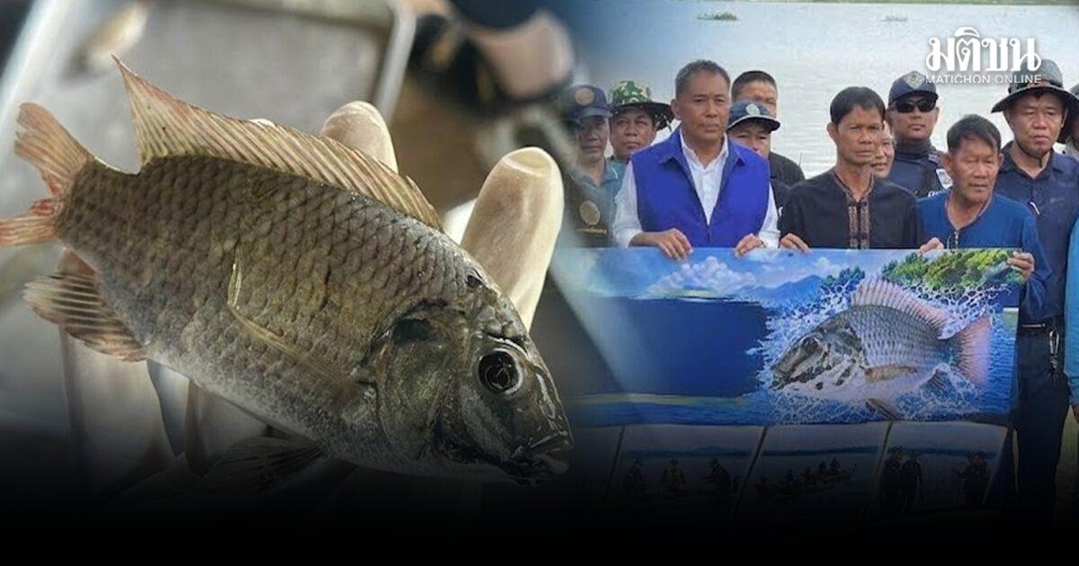 Volunteer Fishermen Launch Operation to Curb Blackchin Tilapia in Lam Pao Dam