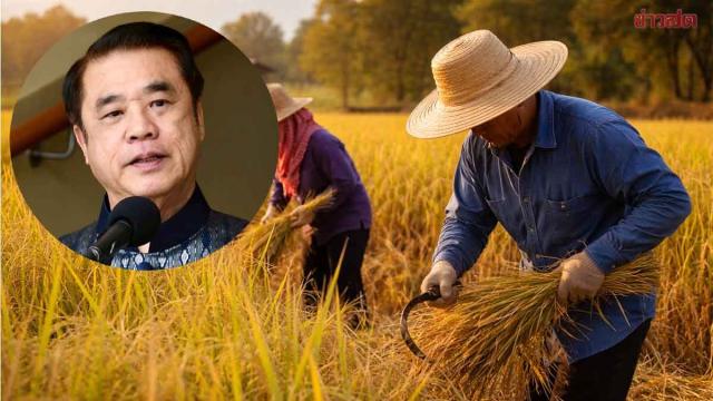 El gobierno tailandés revisará la propuesta de subsidio para los arroceros la próxima semana