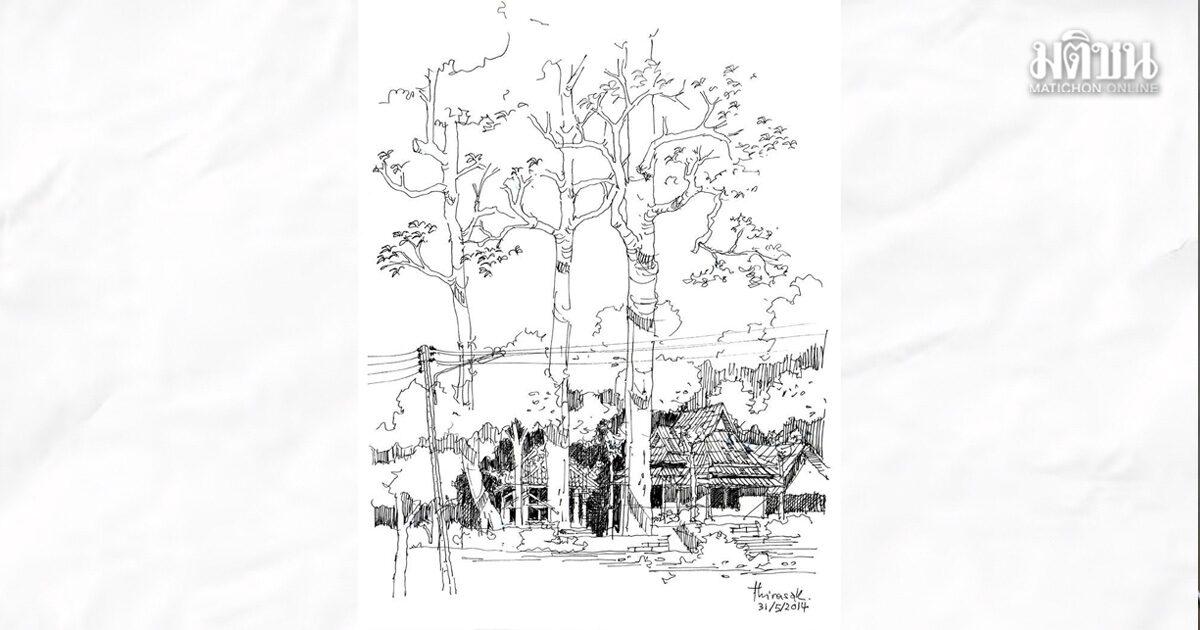 Exploring the Historical Roots of the Phuan People in Prachin Buri
