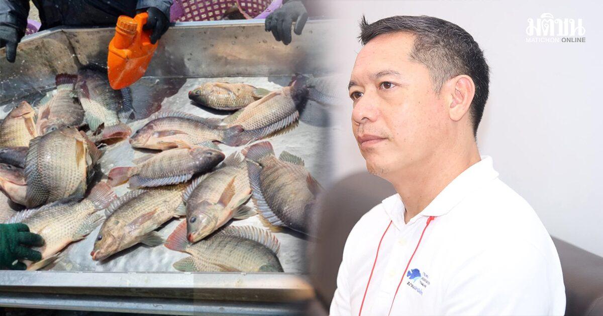 Productores de tilapia piden fomentar el consumo interno ante la caída de precios