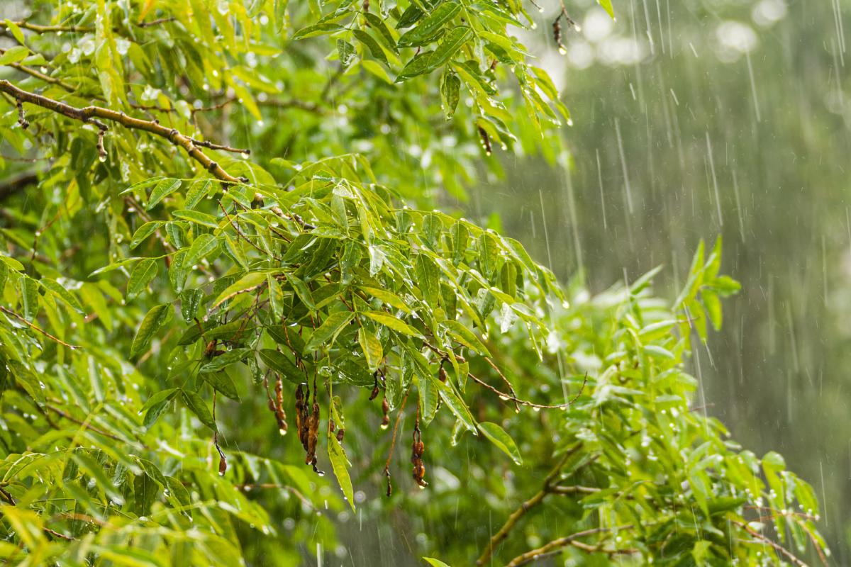 Alerte météo en Thaïlande : Risques de fortes pluies et d'inondations soudaines (19 sept.)