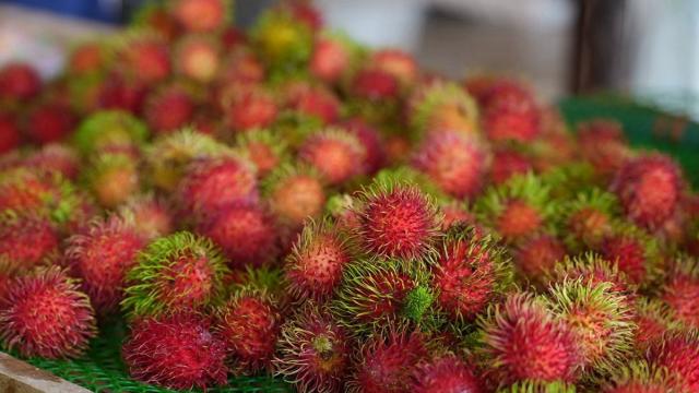 Marktstrategie für 'Rong Rian'-Rambutan mit g.g.A. aus Surat Thani