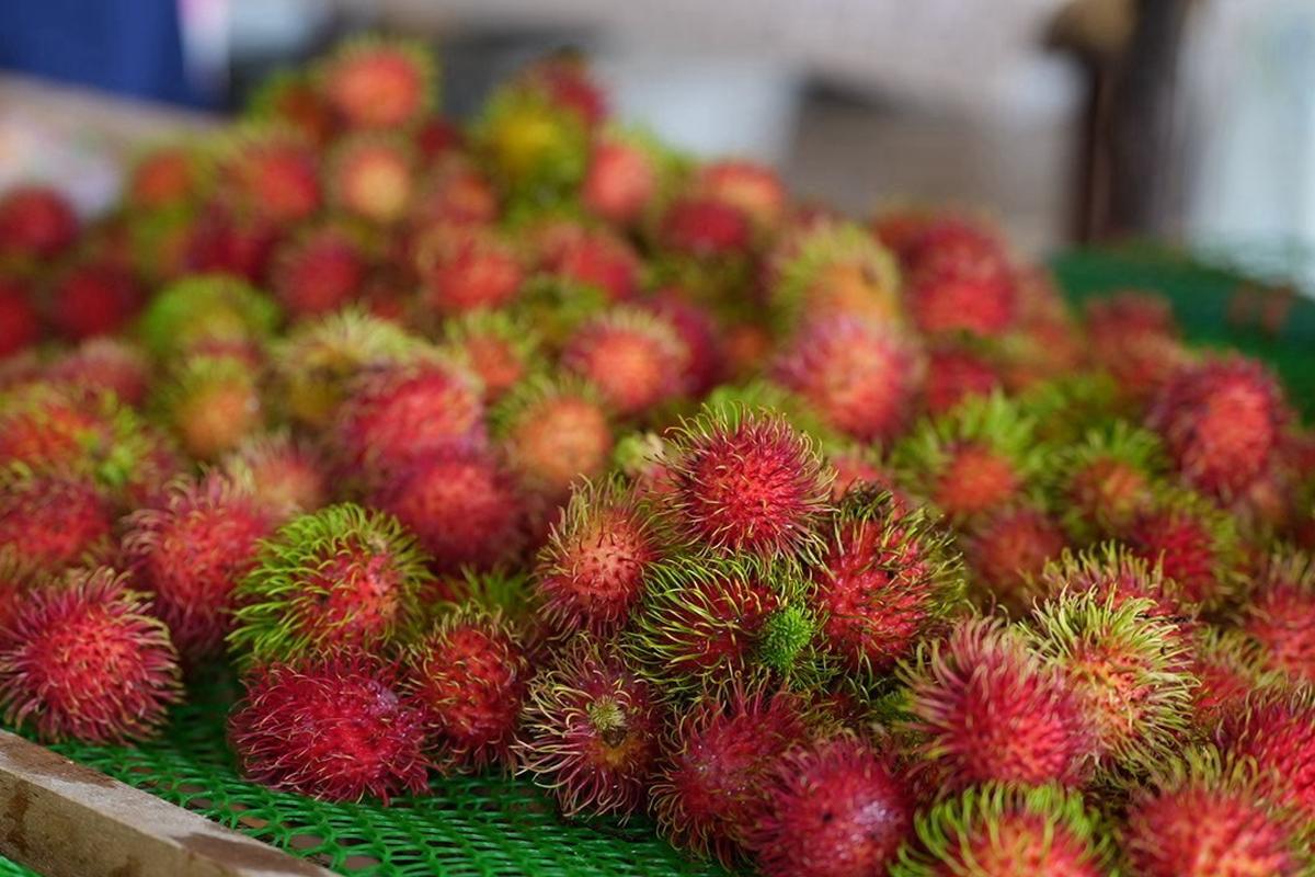 Marktstrategie für 'Rong Rian'-Rambutan mit g.g.A. aus Surat Thani