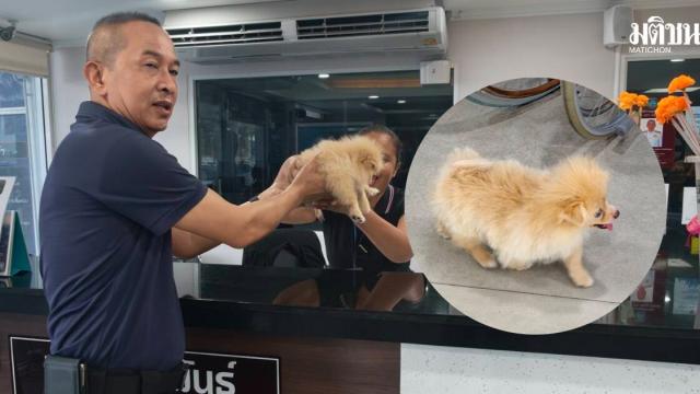 Pattaya Police Station Becomes Temporary Shelter for Lost Dogs