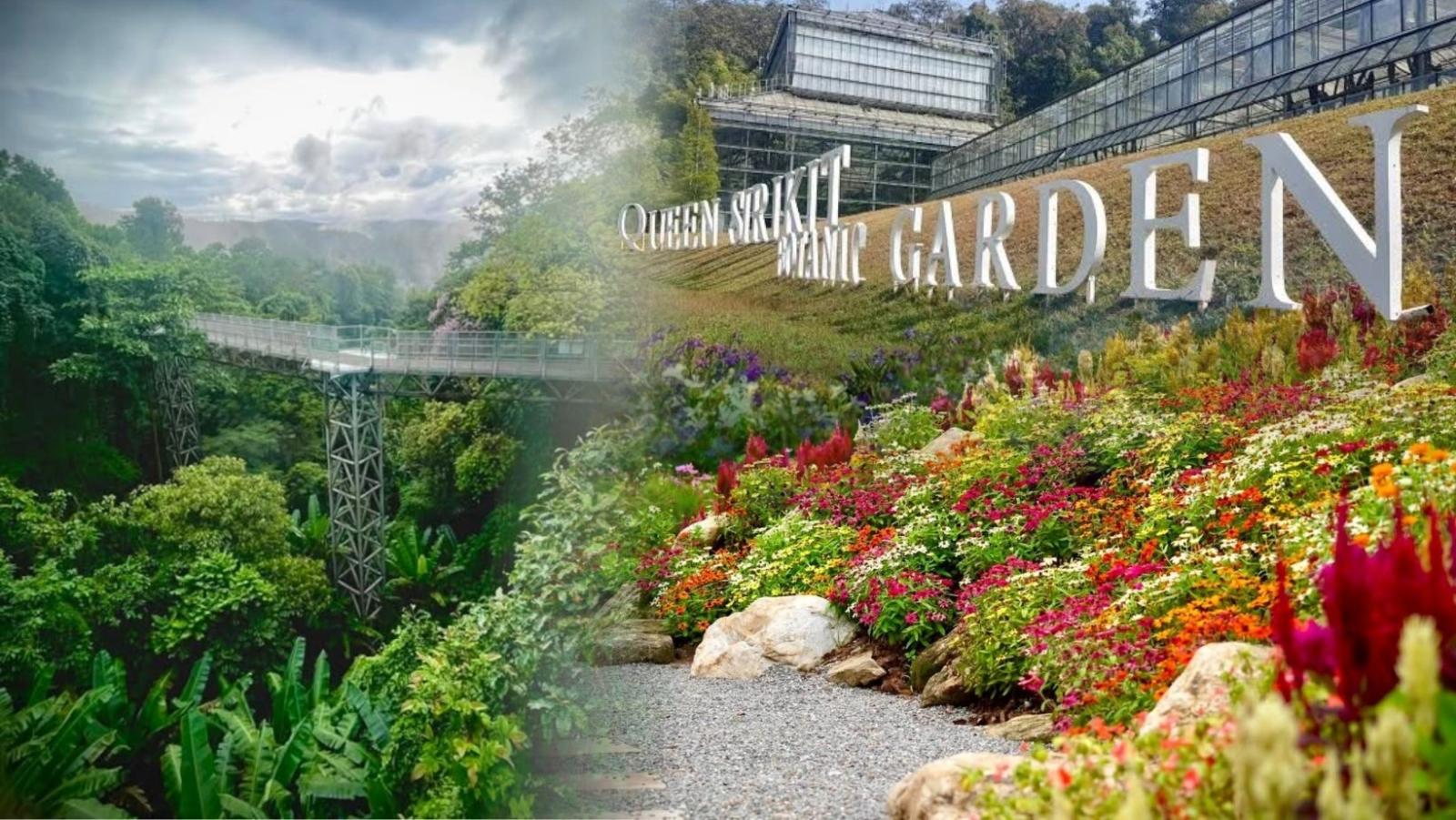 Queen Sirikit Botanic Garden Launches 'Scent of Queen Sirikit Botanical Trails'