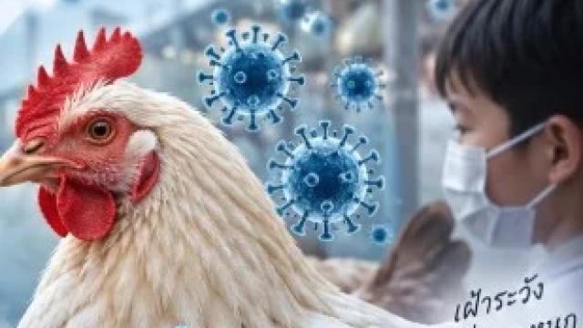 Epidemiology Association Monitors H9N2 Bird Flu Following Chinese Cases