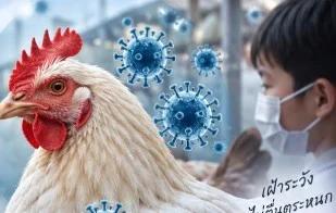 Epidemiology Association Monitors H9N2 Bird Flu Following Chinese Cases
