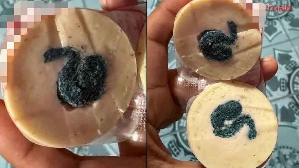 Consumer Reports Foreign Object Found Inside Packaged Moo Yor