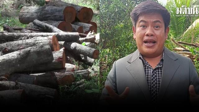 Songkhla Residents Urge Action Against Illegal Logging at Laem Son On