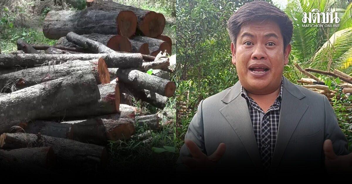 Songkhla Residents Urge Action Against Illegal Logging at Laem Son On