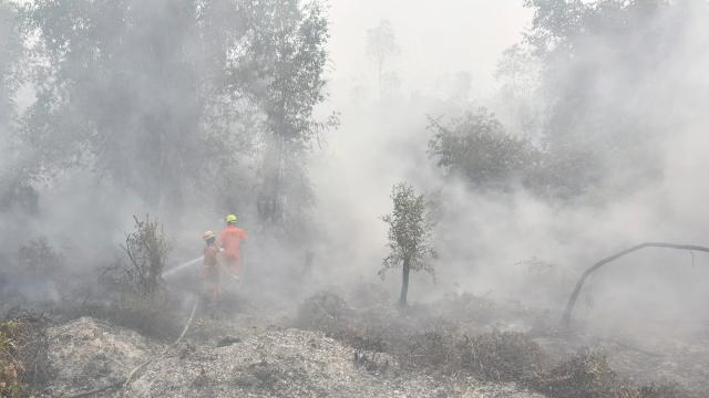 Indonesia Struggles to Contain Widespread Forest Fires