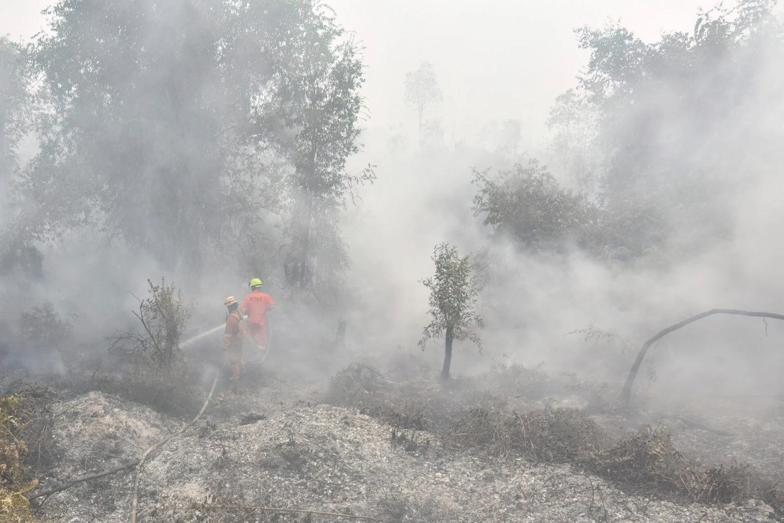 Indonesia Struggles to Contain Widespread Forest Fires