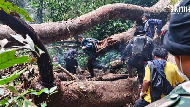 Man Found Dead After Falling from Cliff in Search of Rare Plant