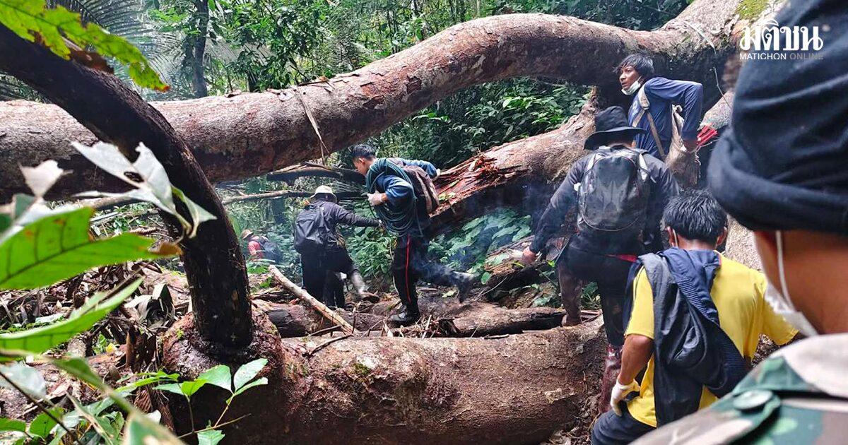 Man Found Dead After Falling from Cliff in Search of Rare Plant