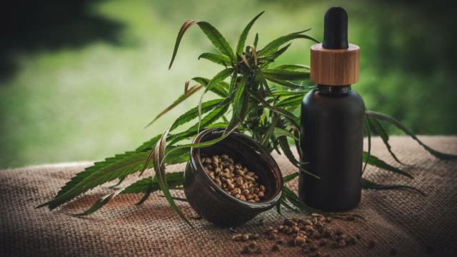 Thai Cabinet Approves Draft Law Restricting Cannabis to Medical Use