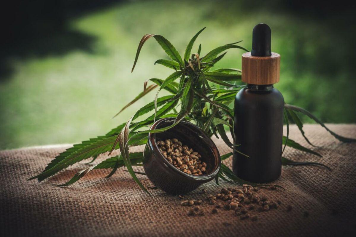 Thai Cabinet Approves Draft Law Restricting Cannabis to Medical Use