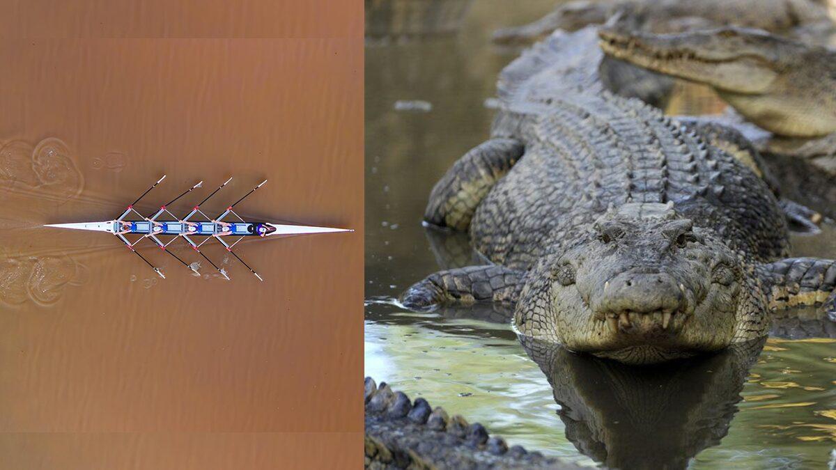Fitzroy River Approved for 2032 Olympic Rowing Events Despite Crocodile Presence