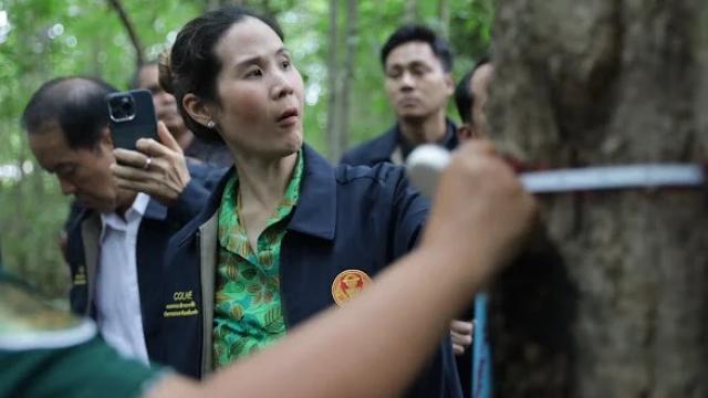 Comitê de Terras propõe iniciativa de créditos de carbono para comunidades florestais