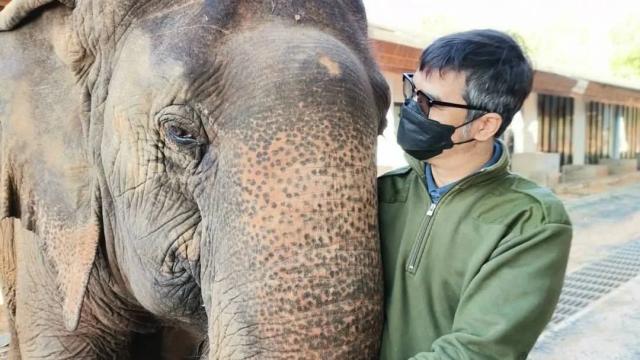 Public Concern Over Reckless Driving in Khao Yai National Park