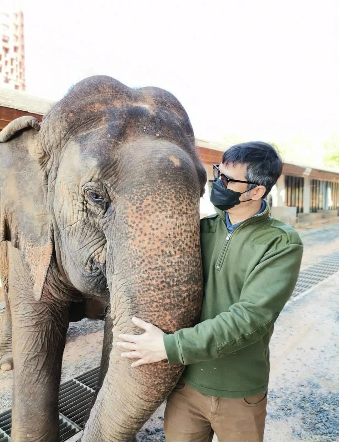Public Concern Over Reckless Driving in Khao Yai National Park